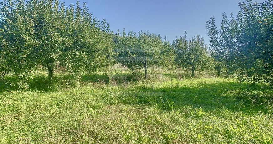 vente Propriété agricole Gaillac