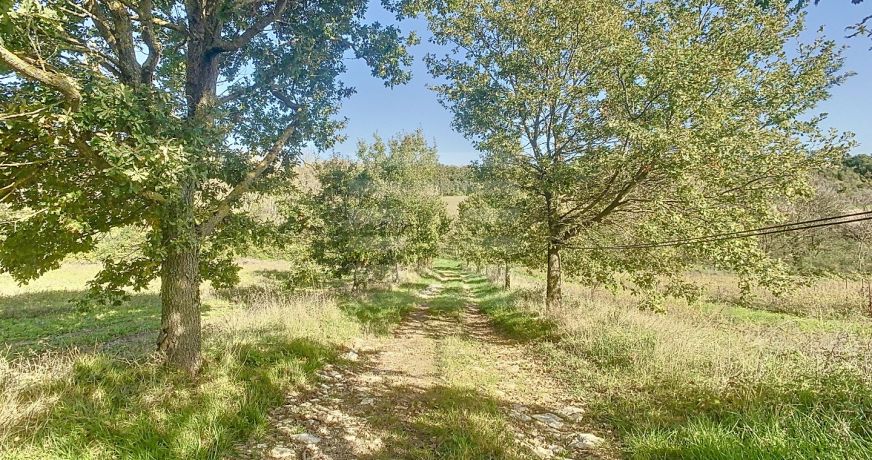 vente Propriété agricole Gaillac