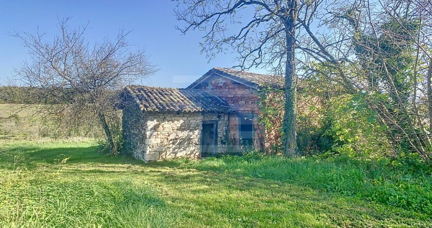 vente Propriété agricole Gaillac