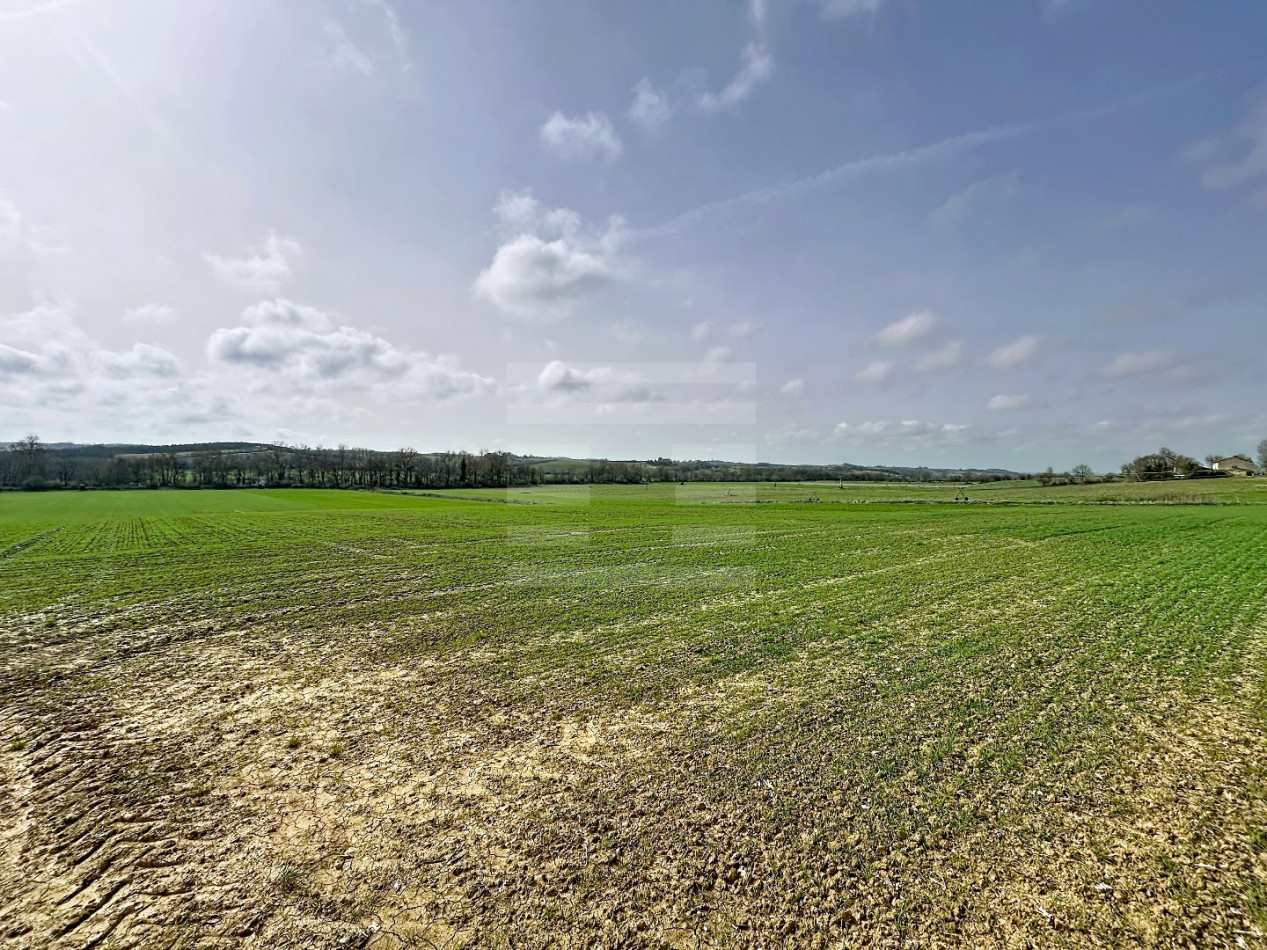 à vendre Terrain agricole Belpech - Photo 2