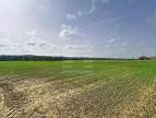 vente Terrain agricole Belpech