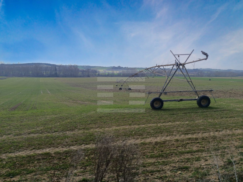 vente Terrain agricole Belpech - Photo 1
