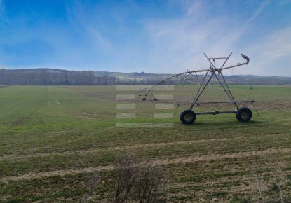 vente Terrain agricole Belpech