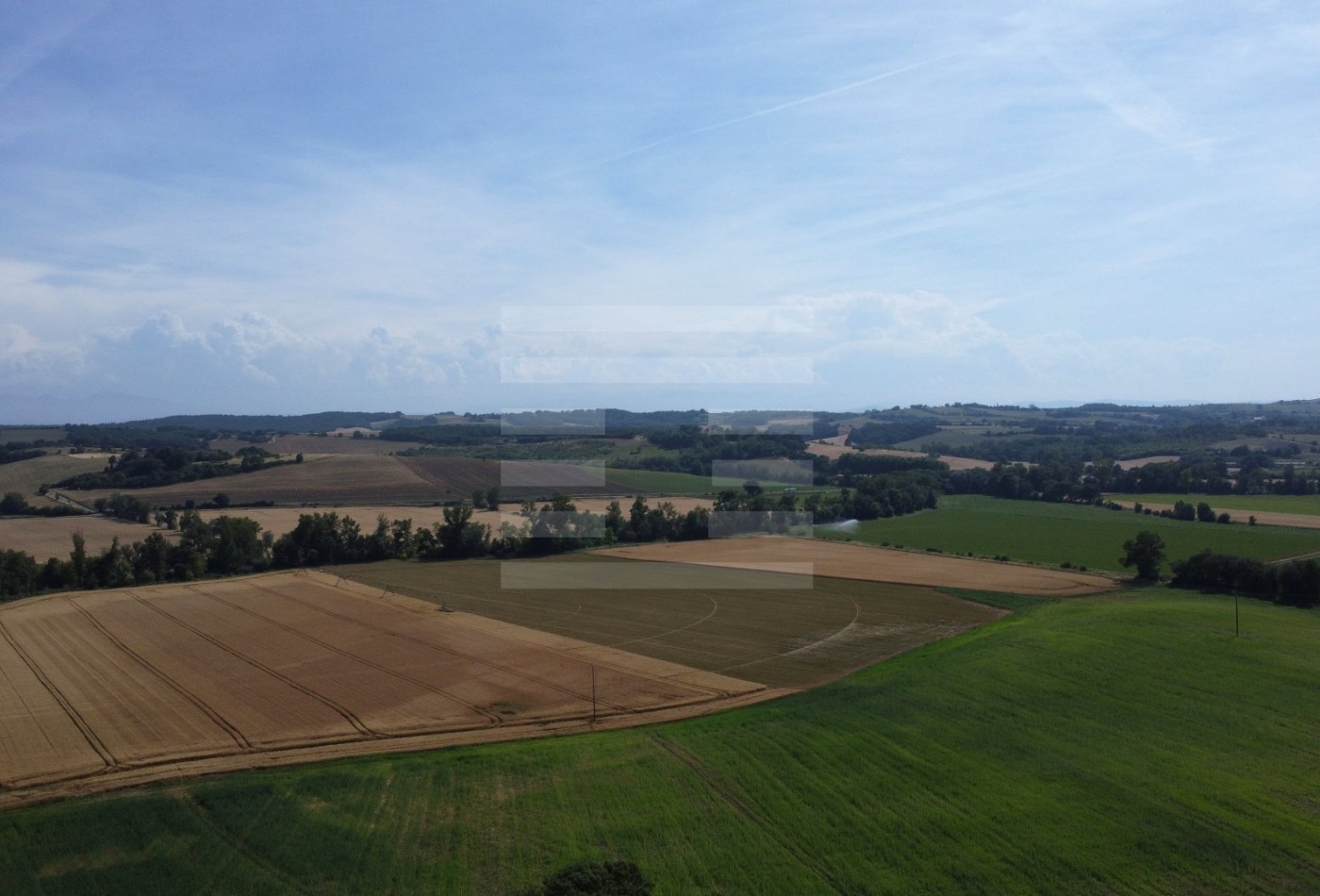 vente Terrain agricole Belpech - Photo 2