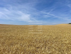 for sale Terrain agricole Belpech