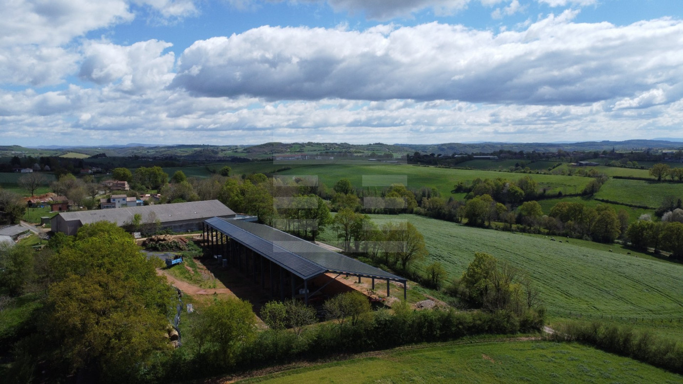for sale Ovins / caprins Teillet - Photo 4