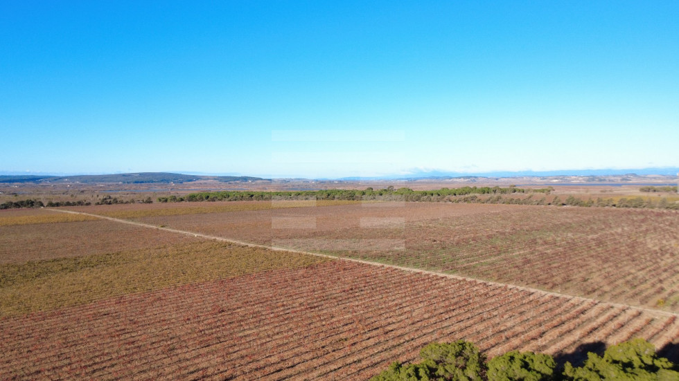 vente Terrain viticole Beziers - Photo 2