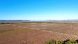 vente Terrain viticole Beziers