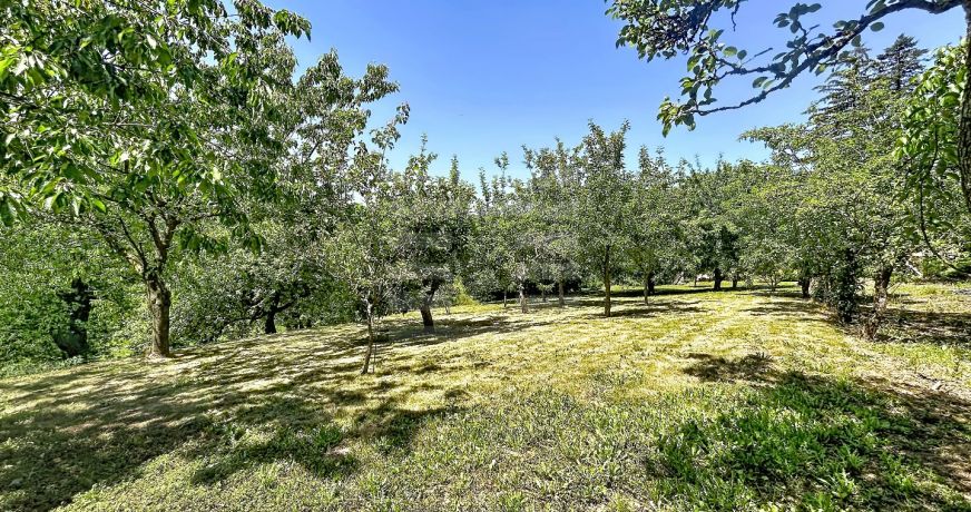 vente Propriété Saint Pierre De Trivisy