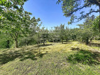 à vendre Propriété Saint Pierre De Trivisy