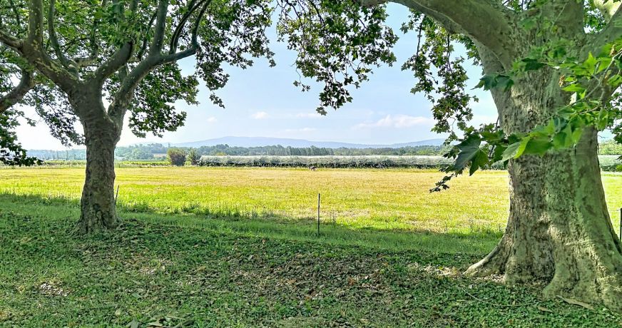 vente Propriété viticole Marseillette