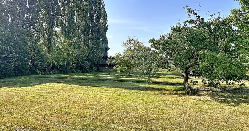 vente Propriété viticole Marseillette