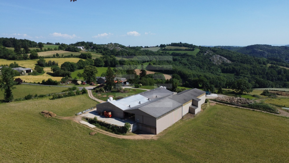 vente Ovins / caprins Mont Roc - Photo 2