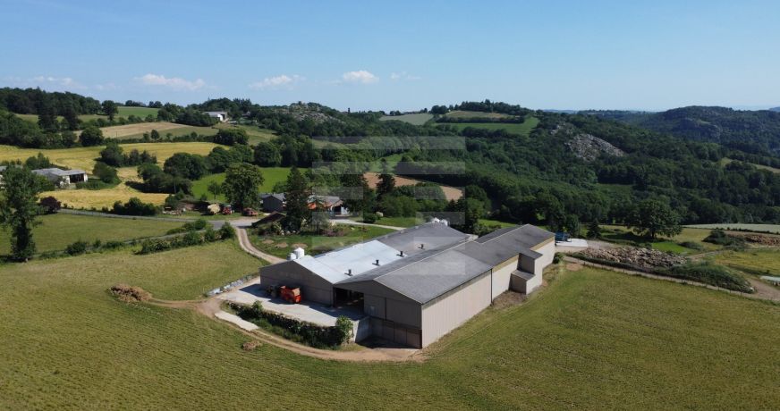 vente Ovins / caprins Mont Roc