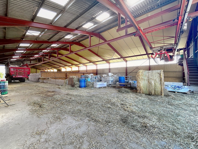vente Ovins / caprins Mont Roc - Photo 4