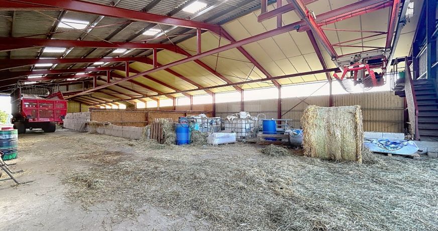 vente Ovins / caprins Mont Roc