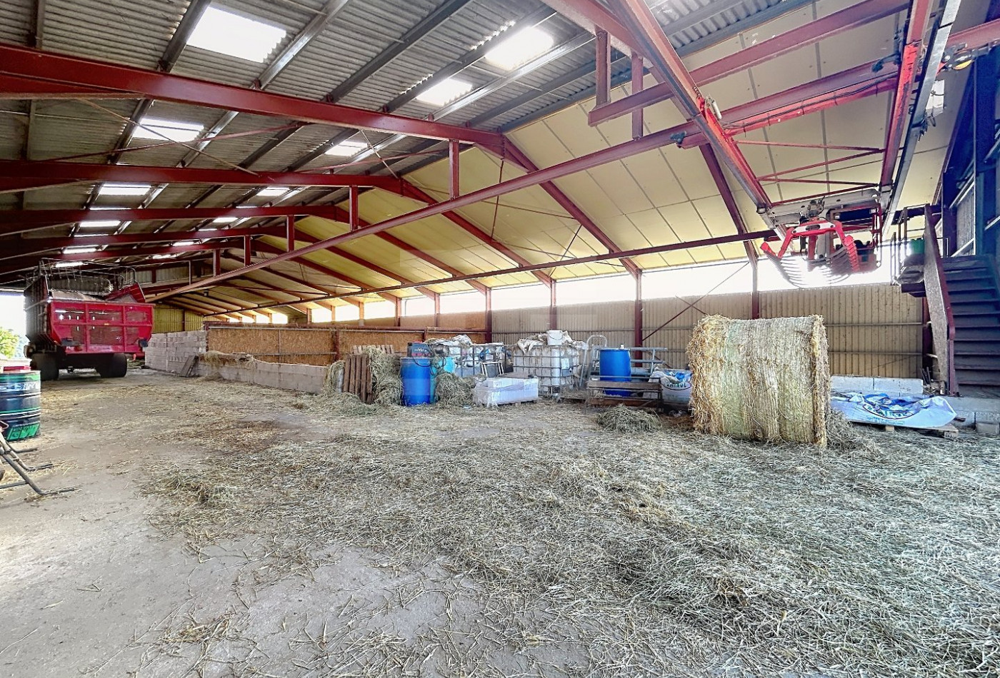 vente Ovins / caprins Mont Roc - Photo 4