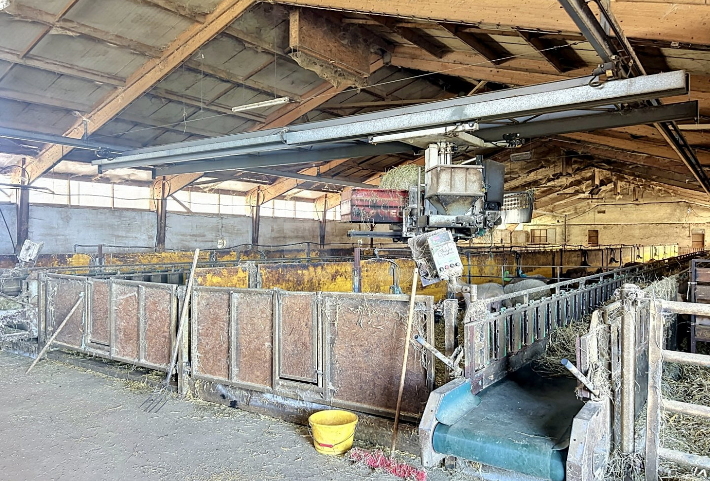 vente Ovins / caprins Mont Roc - Photo 8