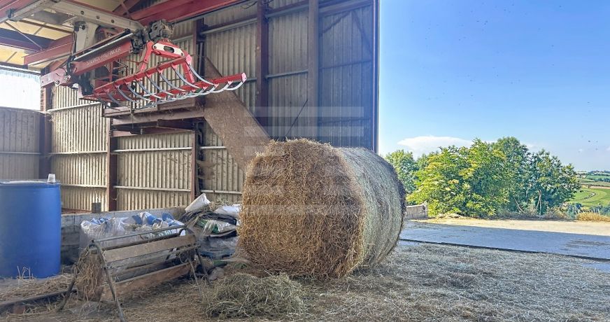 vente Ovins / caprins Mont Roc