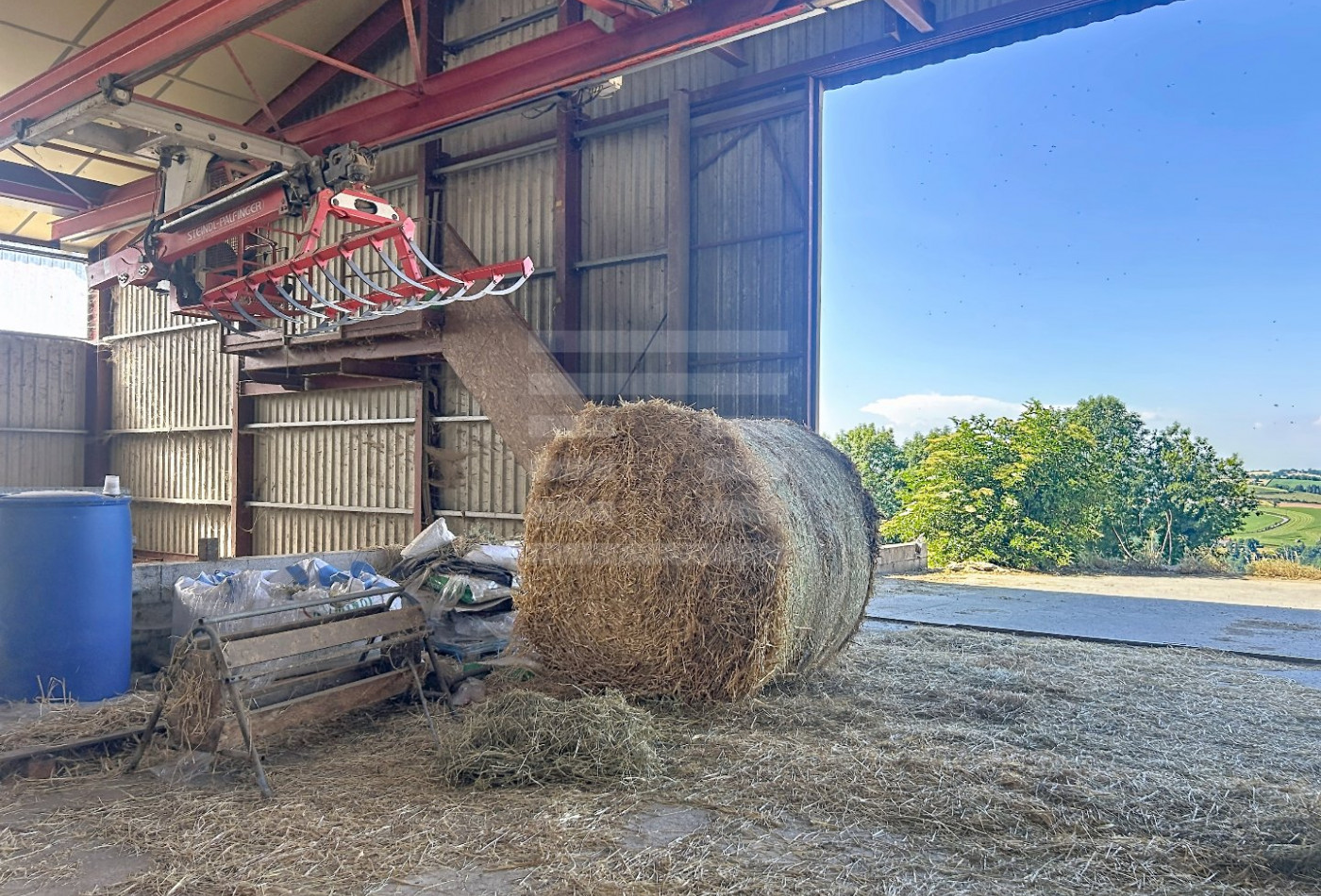 vente Ovins / caprins Mont Roc - Photo 5