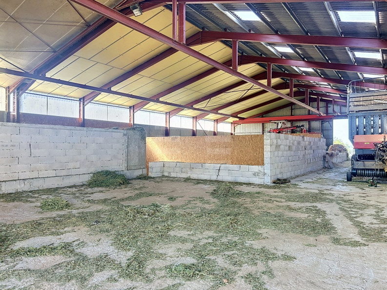 vente Ovins / caprins Mont Roc - Photo 6