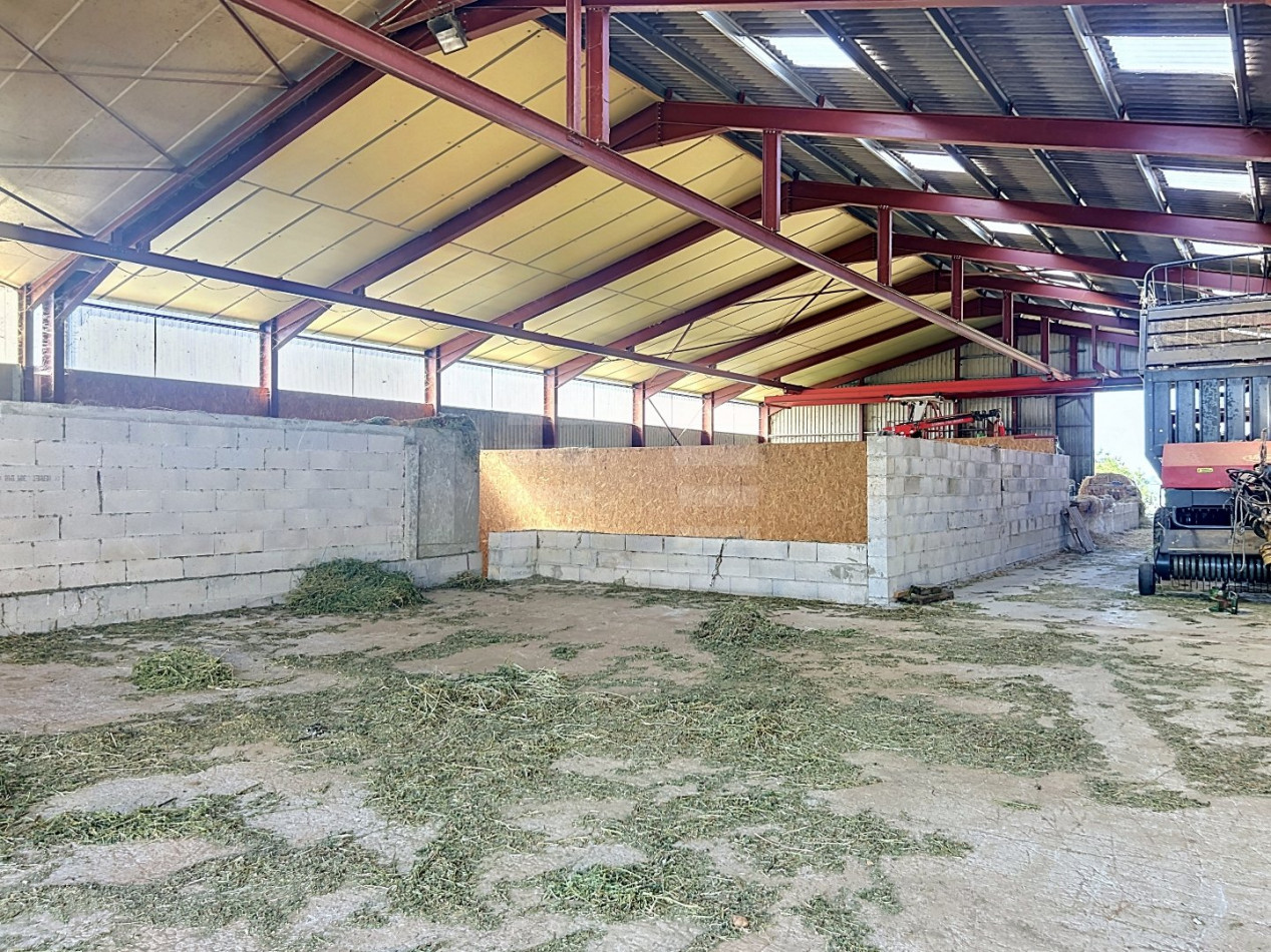 for sale Ovins / caprins Mont Roc - Photo 6