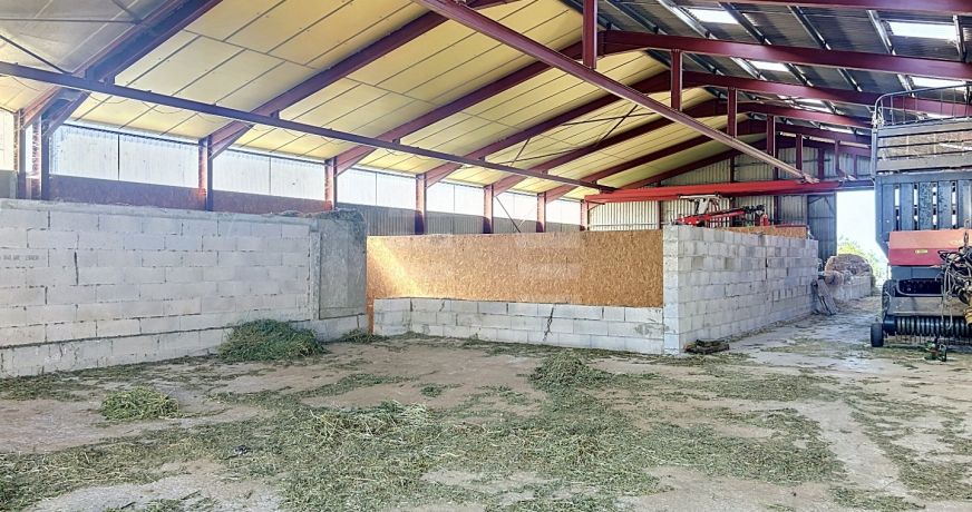 vente Ovins / caprins Mont Roc