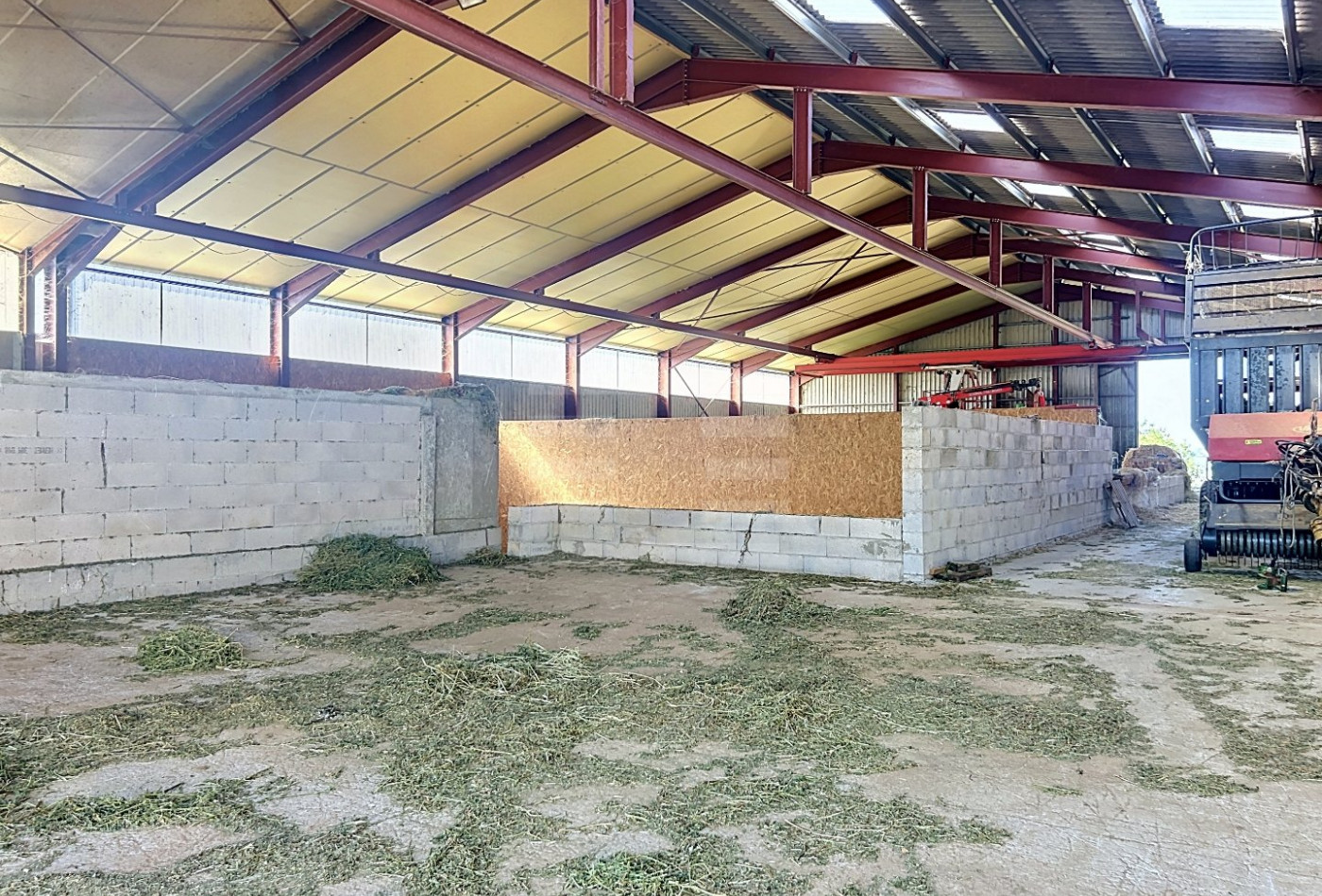 vente Ovins / caprins Mont Roc - Photo 6