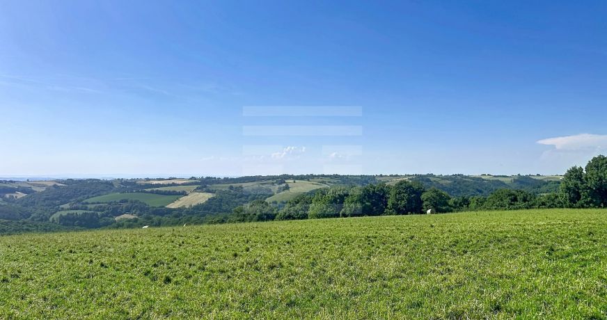 vente Ovins / caprins Mont Roc
