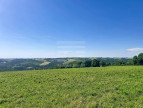 for sale Ovins / caprins Mont Roc