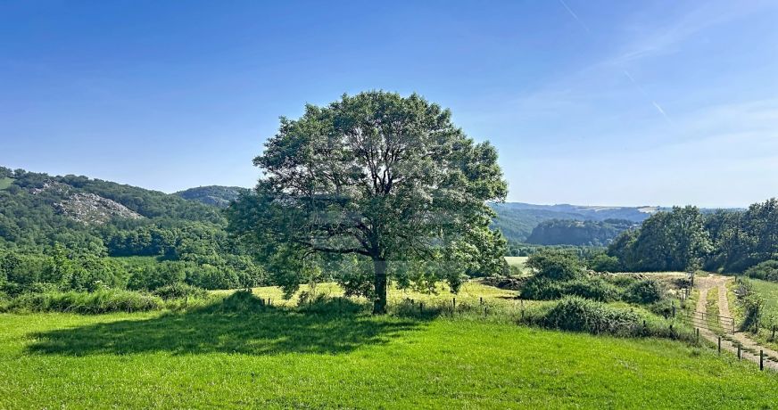 vente Ovins / caprins Mont Roc