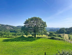 for sale Ovins / caprins Mont Roc