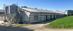 vente Ovins / caprins Mont Roc