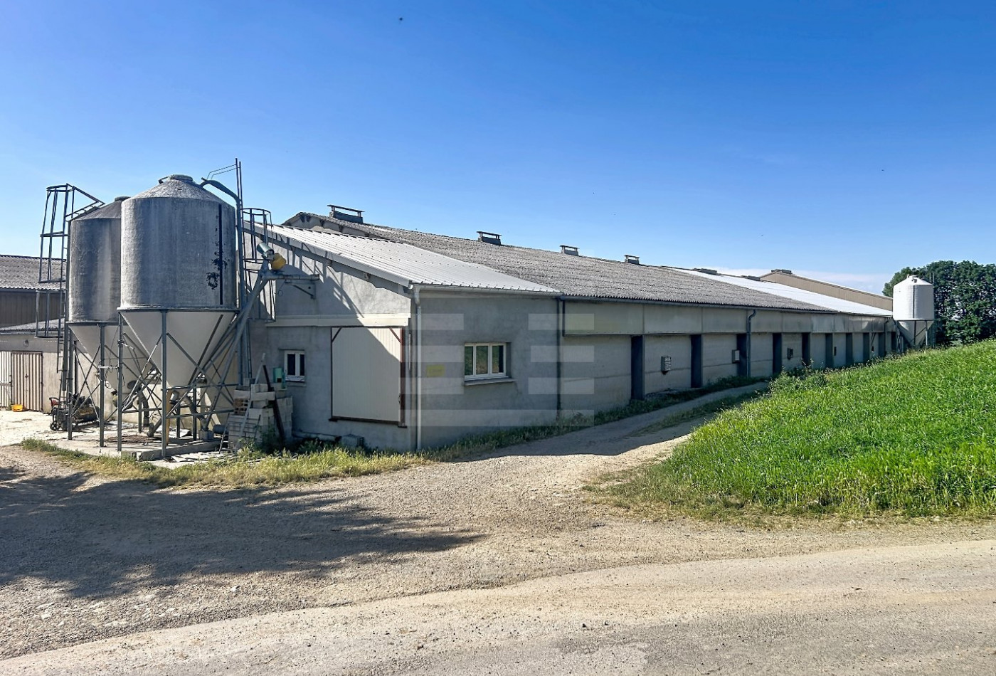 vente Ovins / caprins Mont Roc - Photo 3