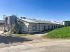 vente Ovins / caprins Mont Roc