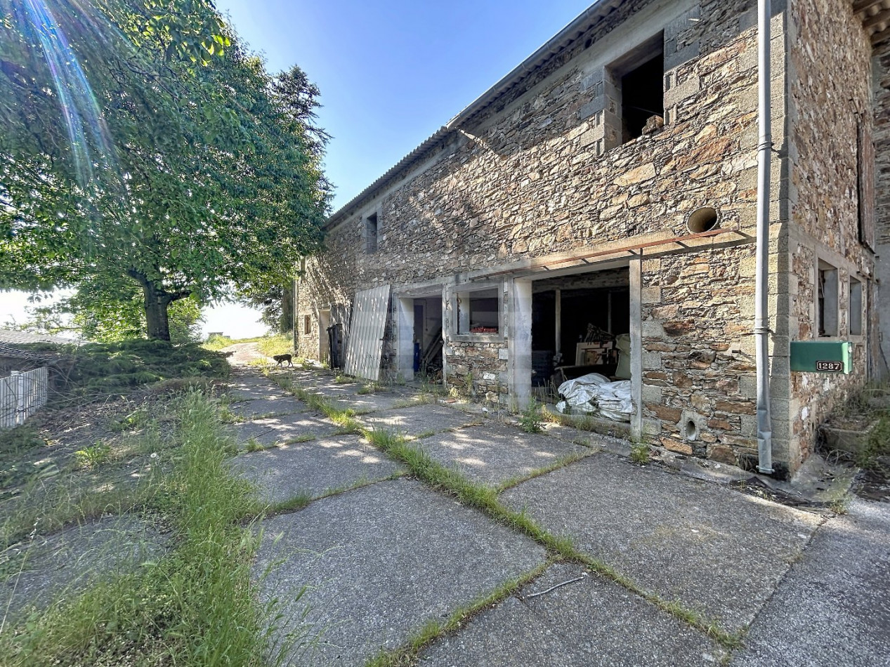 for sale Ovins / caprins Mont Roc - Photo 14