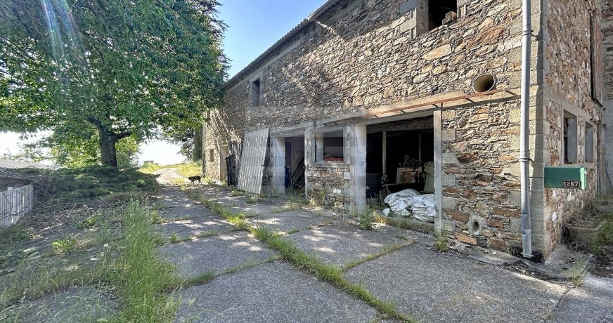 vente Ovins / caprins Mont Roc