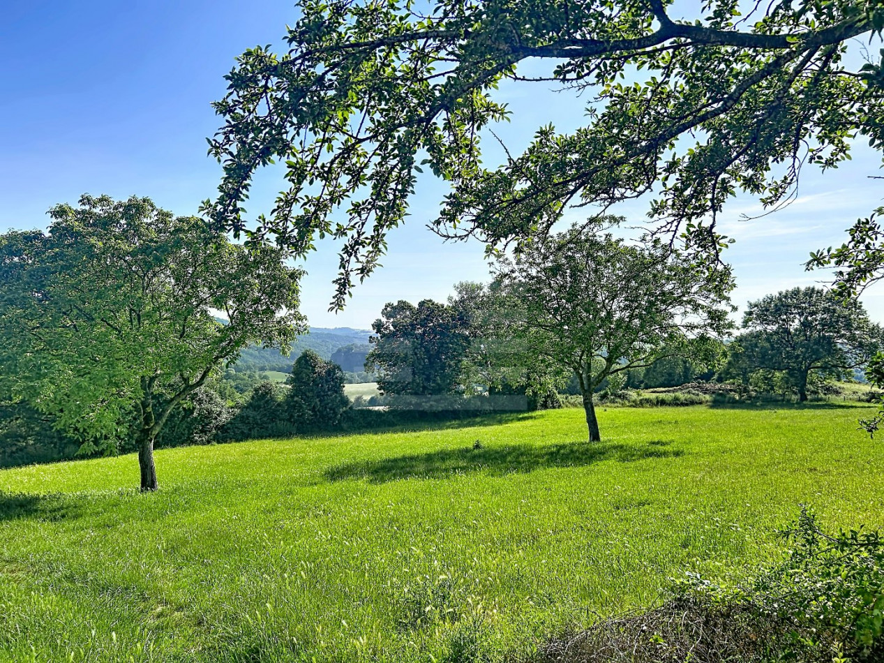 for sale Ovins / caprins Mont Roc - Photo 20