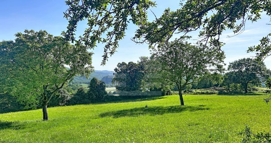 vente Ovins / caprins Mont Roc