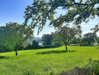 for sale Ovins / caprins Mont Roc
