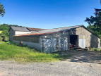 for sale Ovins / caprins Mont Roc