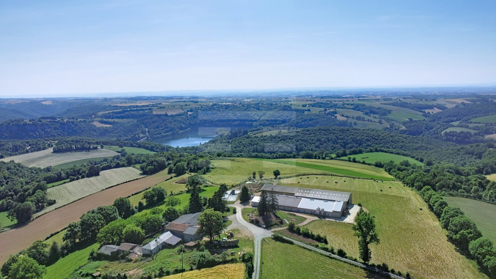vente Ovins / caprins Mont Roc - Photo 1