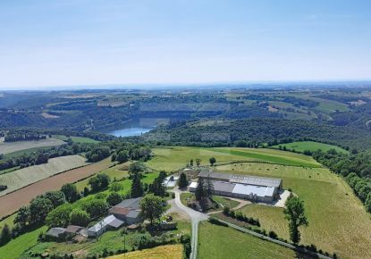 vente Ovins / caprins Mont Roc