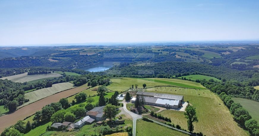 vente Ovins / caprins Mont Roc