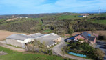vente Ovins / caprins Courris