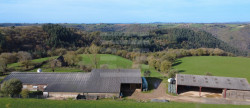 vente Ovins / caprins Courris