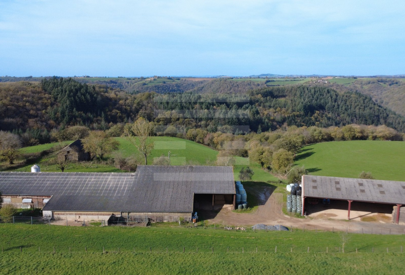 vente Ovins / caprins Courris - Photo 2