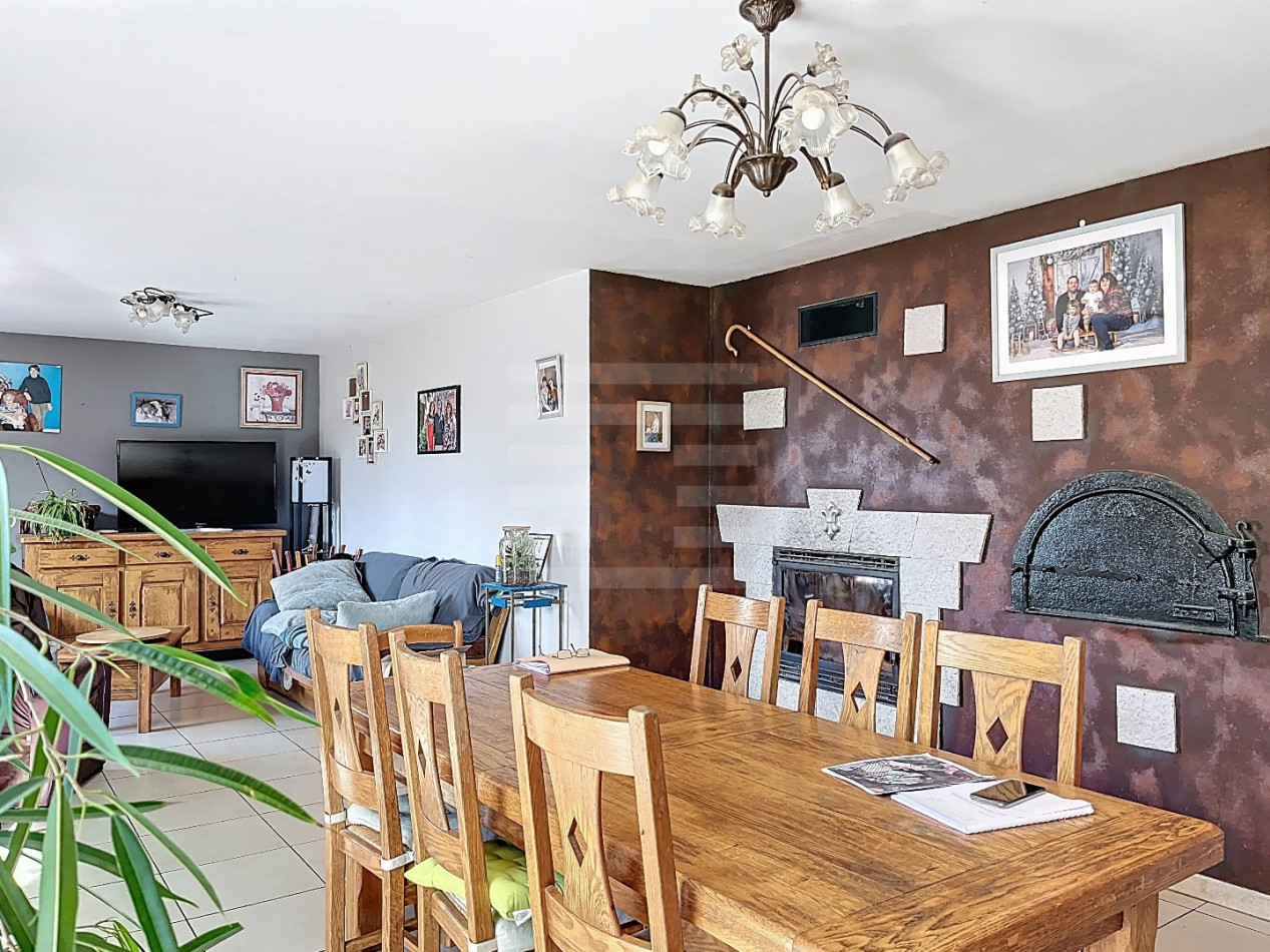 à vendre Ovins / caprins Courris - Photo 12