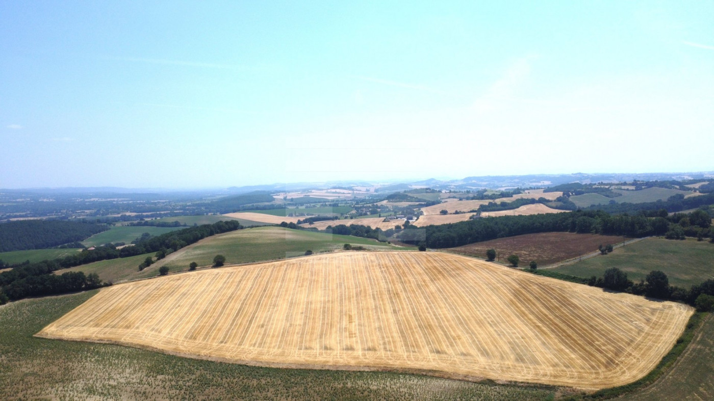 for sale Terrain agricole Lavaur - Photo 1