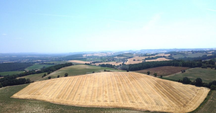 vente Terrain agricole Lavaur